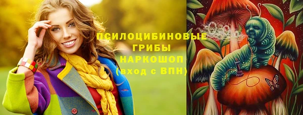 индика Балахна