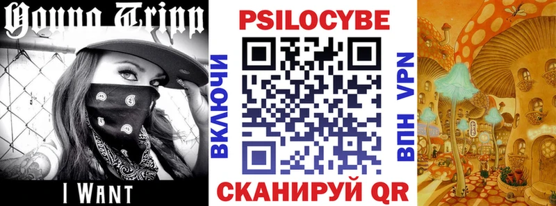 Галлюциногенные грибы Magic Shrooms  где купить   Старый Крым 